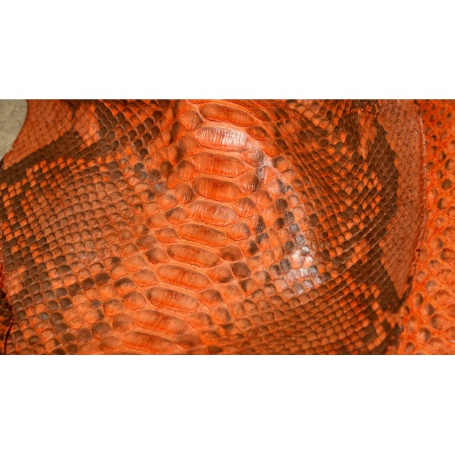 Aligo Group фото